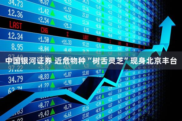 中国银河证券 近危物种“树舌灵芝”现身北京丰台