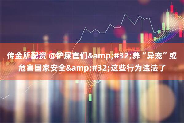 传金所配资 @铲屎官们&#32;养“异宠”或危害国家安全&#32;这些行为违法了
