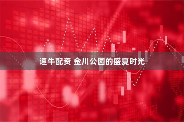 速牛配资 金川公园的盛夏时光