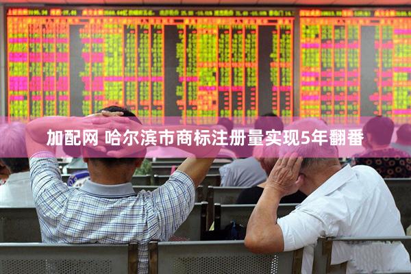 加配网 哈尔滨市商标注册量实现5年翻番