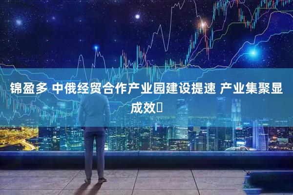 锦盈多 中俄经贸合作产业园建设提速 产业集聚显成效​
