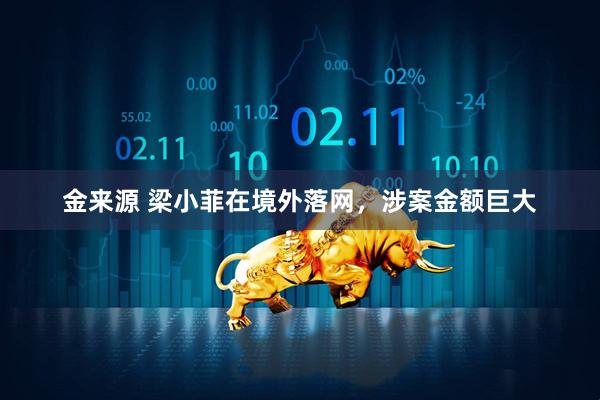金来源 梁小菲在境外落网，涉案金额巨大